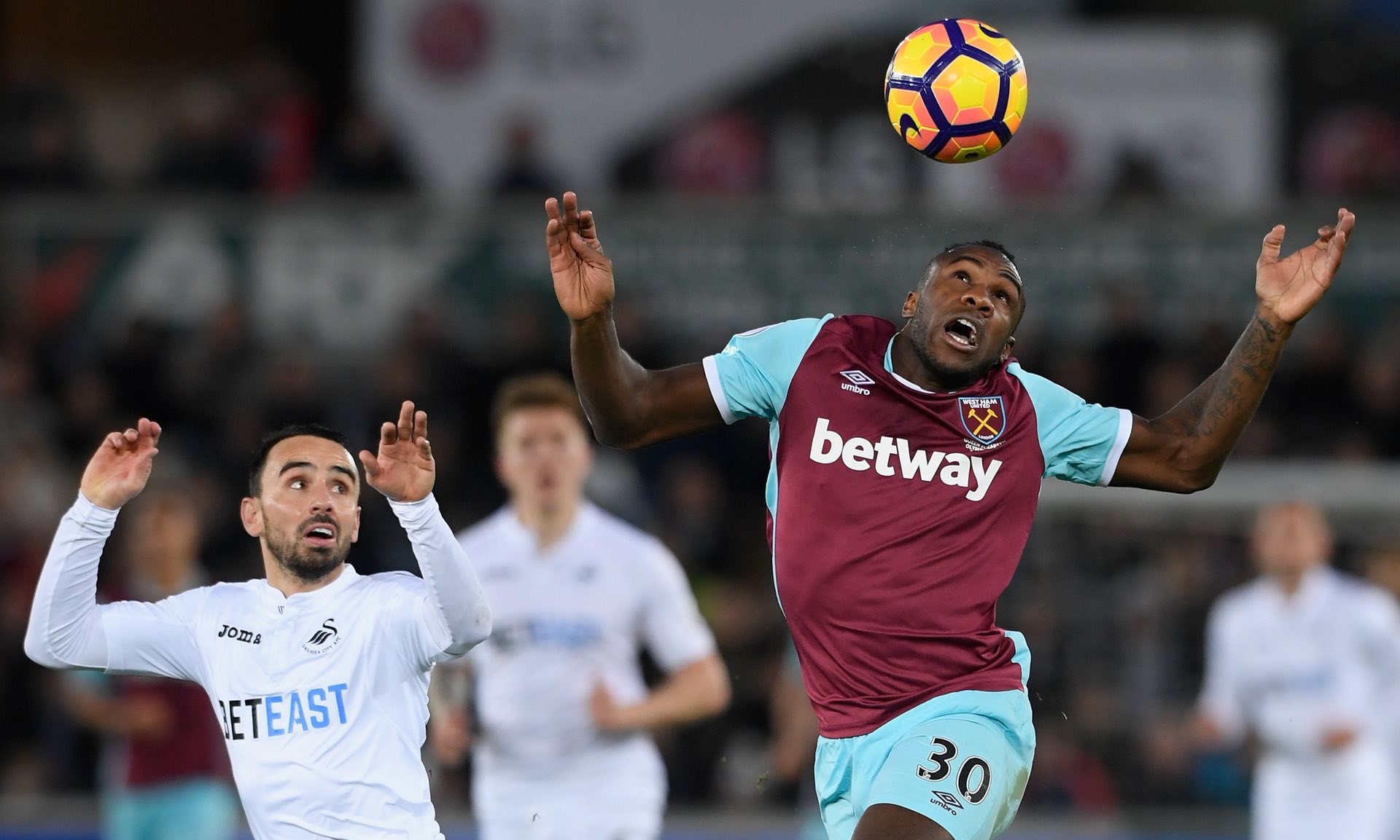 范戴克在关 范戴克在关